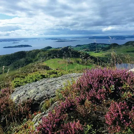 Amazing In With House Sea View *